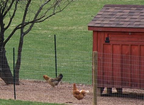 No more than four chicken hens shall be kept per one-family dwelling, and no more than eight chicken hens shall be kept per one-family dwelling for lots two acres or greater in the A-1 Agricultural and R-1 Rural Residence Zoning Districts only. . Pennsylvania chicken ordinance